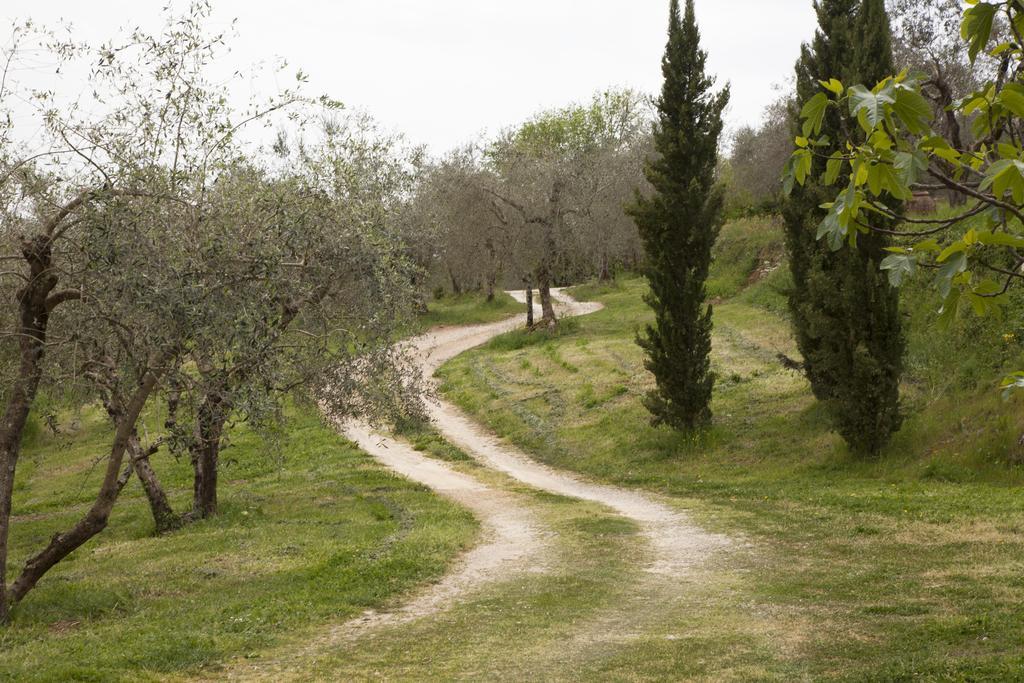 Agriturismo Borgo Personatina Sovicille Exteriör bild